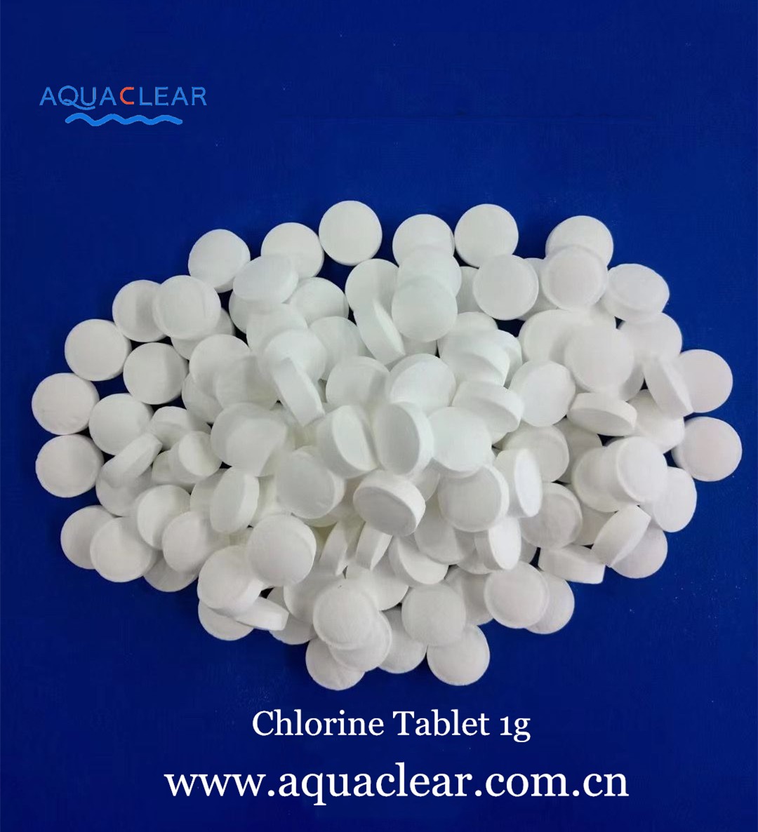 Chlorine Tablet 1g.jpg