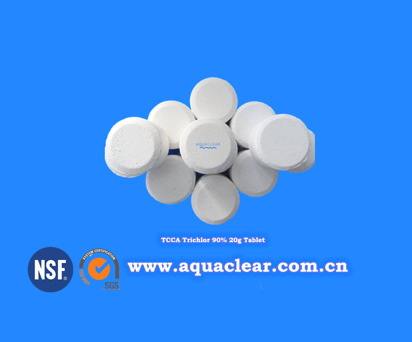 TCCA 20g-Tablet-aquaclear.com.cn.jpg