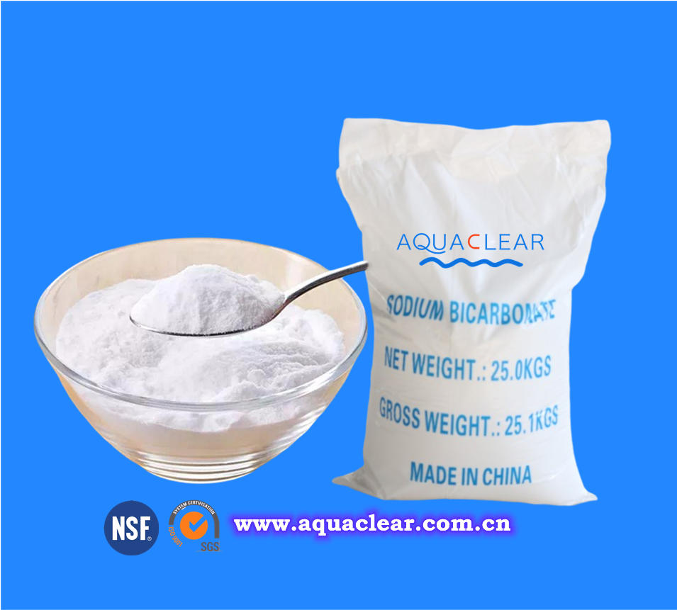Sodium-Bicarbonate-Alkalinity-Increaser-aquaclear.com.cn.jpg