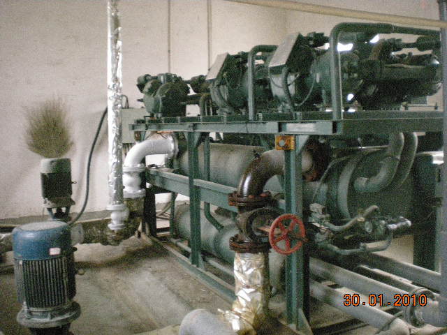 DSCN4695.jpg